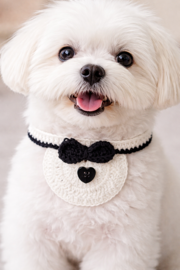 Classic Tuxedo Collar